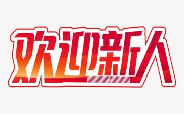 银行新人年度总结6篇