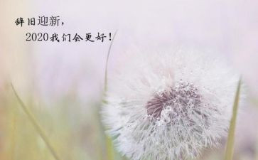护士新一年工作计划5篇