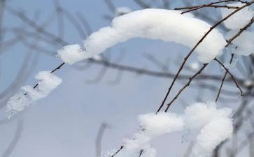 滑雪活动方案6篇