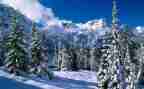 除雪个人先进事迹最新6篇