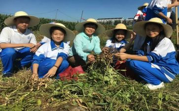 小学农村教师优秀事迹材料6篇