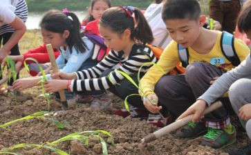 学农心得体会模板7篇