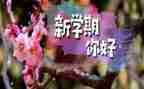 新学期我的打算作文5篇