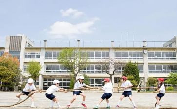学生做的调研报告通用6篇