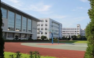 学校食堂工作总结优质5篇