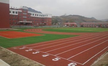 学校周工作计划总结8篇
