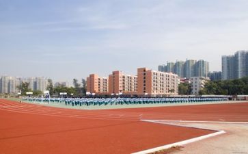 述职报告学校述职报告推荐5篇