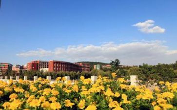学校安全工作年终总结7篇