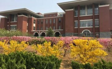 学校校长个人述职报告7篇