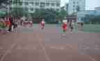 学校体育老师个人总结精选7篇