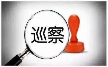 巡察干部个人述职报告5篇