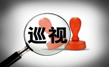 巡查组心得体会范文5篇