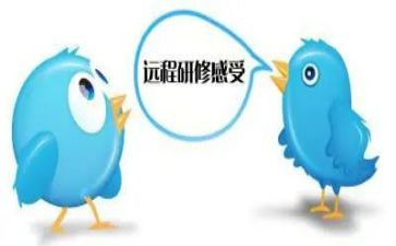 2.0个人研修计划优秀7篇