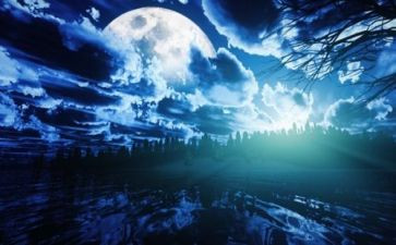 巴金秋夜读后感5篇