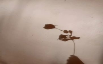 幼儿园找影子教案5篇