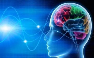 学生环保意识调查报告5篇