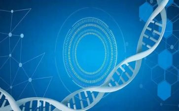 医学生感恩老师演讲稿精选5篇