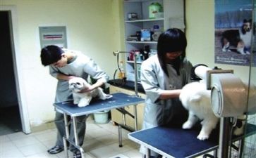 医院个人年度工作总结通用5篇