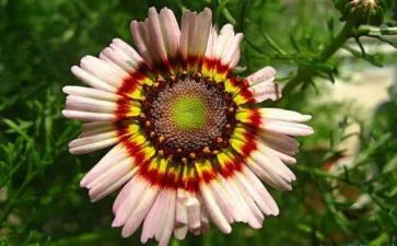 永恒的…作文通用7篇