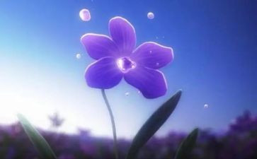 永恒的…作文模板5篇