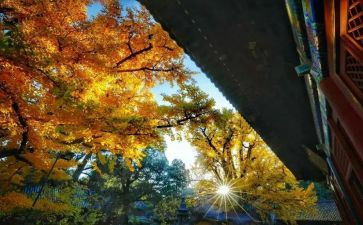 永恒的…作文6篇