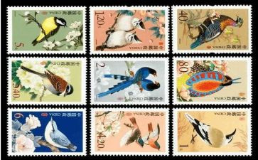 大班分邮票教案5篇