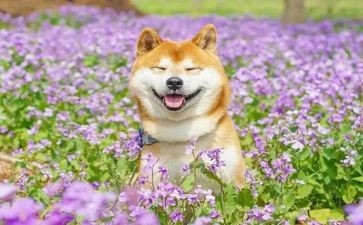 校园有趣的事作文优质8篇