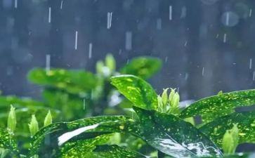 雨水资源调查报告7篇