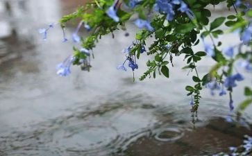 九月的雨作文精选5篇