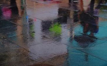 《小英雄雨来》的心得体会7篇