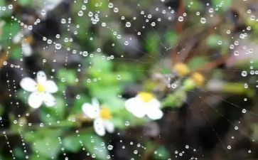 大班音乐下雨了教案5篇