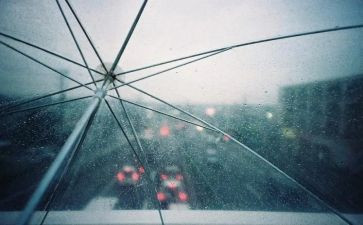 雨来事迹精选6篇