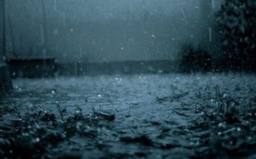 雨游记读后感600字作文8篇