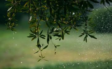科学雨和雪教案通用8篇