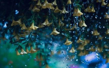 雨的滋味读后感7篇