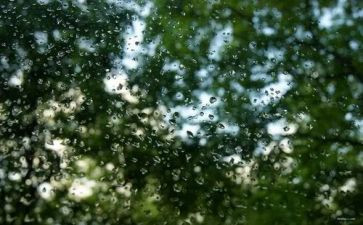 春雨的色彩教案最新5篇