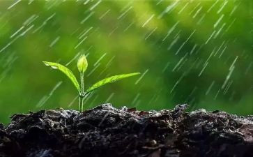 科学雨和雪教案优秀8篇