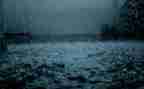 雨游记读后感600字作文8篇