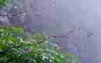 雨来的事迹推荐8篇