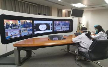 小学远程工作计划模板5篇