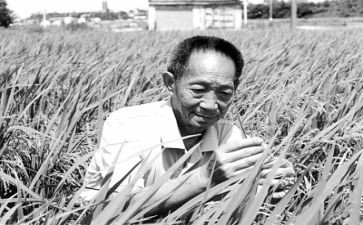 小学生作文袁隆平事迹5篇