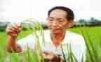 袁隆平的心得最新7篇