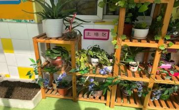 幼儿园培训收获与心得5篇