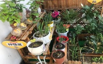 去幼儿园培训的心得体会最新6篇