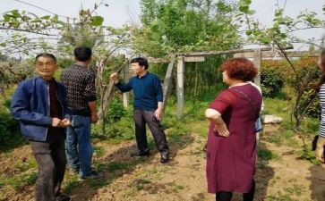 园艺站年终个人总结6篇