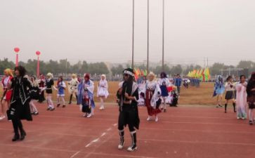 市运会心得体会最新7篇