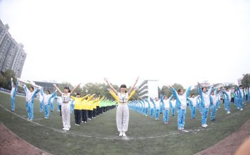 区运会心得体会通用7篇