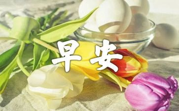 在早教的心得体会5篇