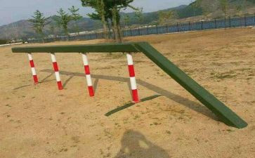 跨障碍跳教案7篇