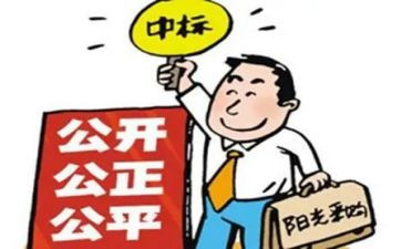 招标年度总结7篇